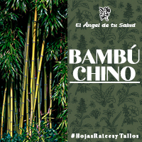 El Bambú Chino estimula la síntesis de colágeno por el tejido óseo y conjuntivo, facilitando la reconstrucción del cartílago destruido por la artrosis.