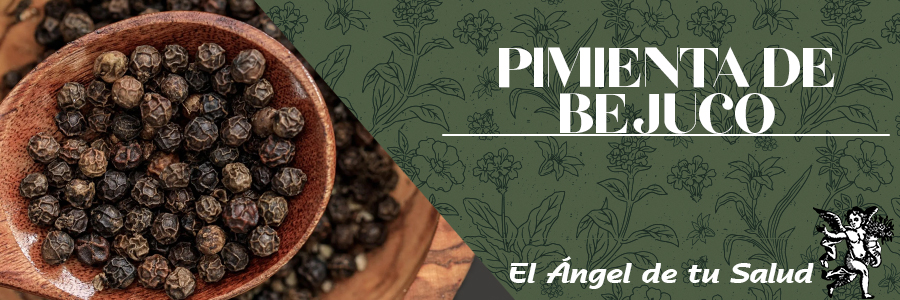 La cataplasma de Pimienta de Bejuco se recomienda como pectoral en casos de bronquitis o pulmonía y los gargarismos de su decocción se usan para tratar parálisis de la lengua.