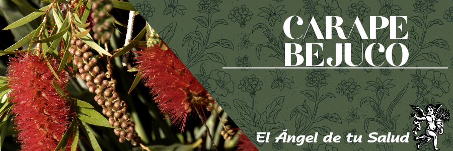 Es esencial en el tratamiento de enfermedades tropicales como la malaria, el cólera y picaduras venenosas.