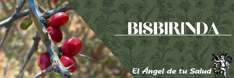 Otras actividades biológicas se reportan como biocidas en contra de una amplia gama de microorganismos como bacterias, hongos, virus y protozoarios.