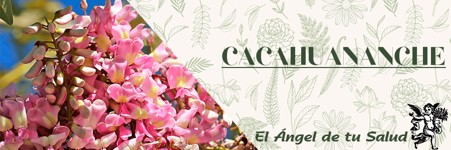 Contiene hierro, selenio y sustancias antisépticas que contrarrestan el acné y el sarpullido. 