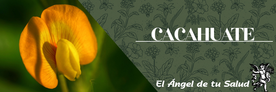 Reduce las afecciones cardiovasculares, porque permite disminuir el nivel de colesterol malo y contribuir a su vez la fluidez sanguínea, además ayuda a controlar los procesos inflamatorio.