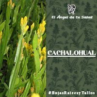 También se emplea contra debilidad general del cuerpo