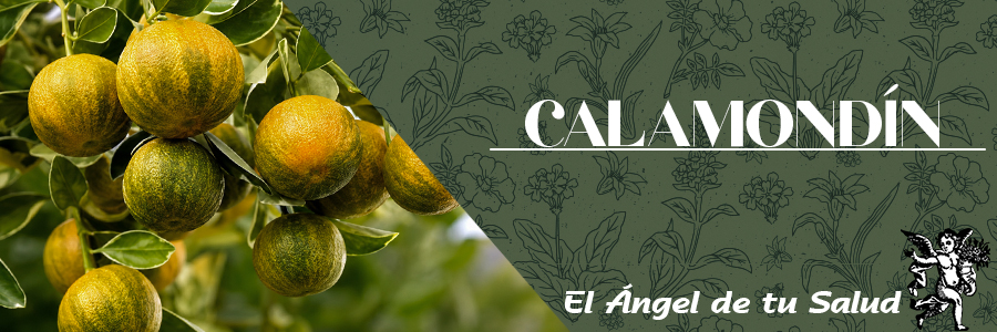 Se usa por vía oral como medicamento para la tos y es un antiinflamatorio natural, ya que ayuda contra el catarro o contra el resfriado.