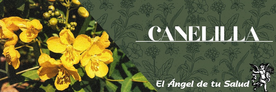 Herbácea de hasta 2 m de altura, finamente estrigulosa con hojas alternas, pinnadas y arregladas de forma espiral. Racimos axilares con flores amarillas; sépalos oblongos, obtusos; pétalos ovados o elípticos. Vaina linear, obtusa, mucronata, erecta, más o menos arqueada, con numerosas semillas ovoides.