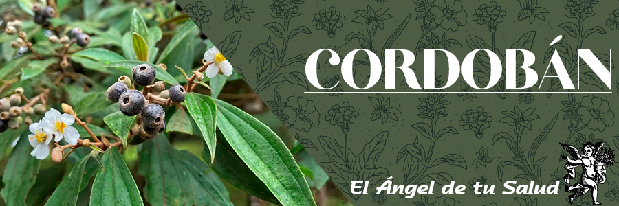 Interviene además en el control de la diarrea y quita a niños alergia al pañal.