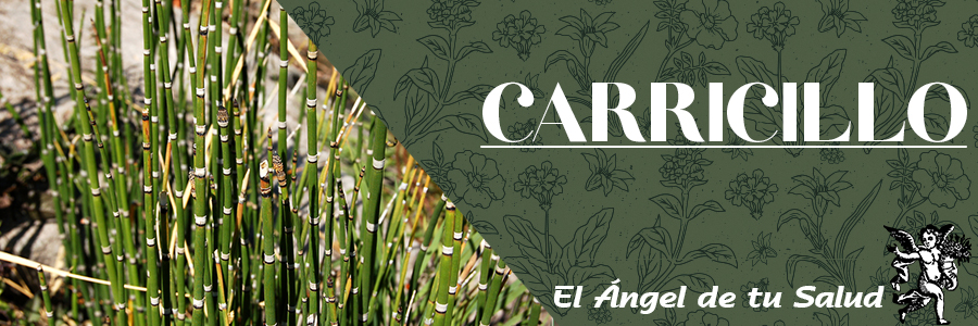 Como purgante, actúa enérgicamente, pero sin producir irritación ni vómitos