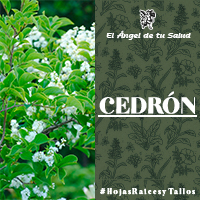  Ayuda a tratar el síndrome de colon irritable.