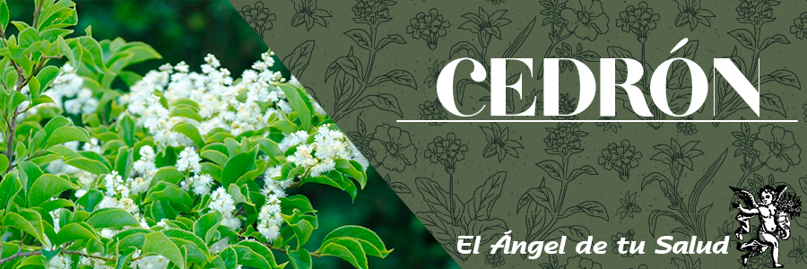 Favorece la eliminación de toxinas del organismo.