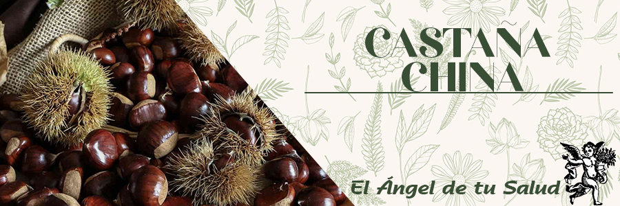 En la medicina tradicional se han usado las semillas para el tratamiento de disenterías de origen bacteriano, fiebre, hipertrofia prostática benigna.