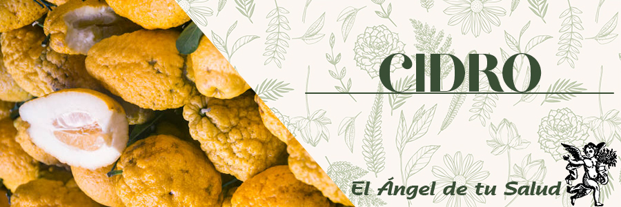 Su alto contenido de antioxidantes le habilita para la prevención del envejecimiento, regeneración celular, circulación, depresión, problemas digestivos, ritmo cardiaco, dolor de cabeza, psoriasis, estreñimiento, palidez, reumas, articulaciones. 