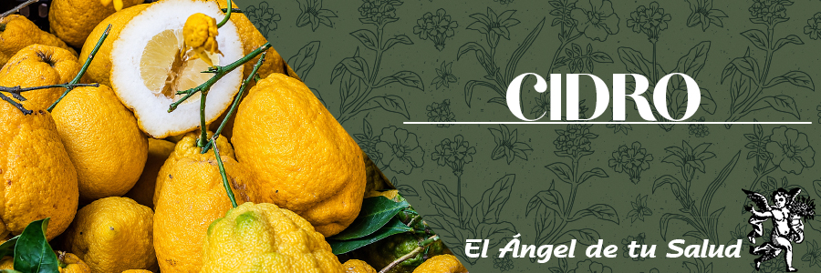 Por su alto contenido en fibra es un buen alimento para la digestión, control del peso corporal y para regular los niveles de colesterol y del azúcar de la sangre.