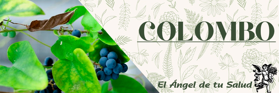 Los indígenas del África la usan comúnmente como anti disentérica.