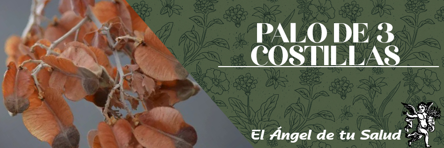 Es muy buena para curar del mal de orín: se hierve en medio litro de agua una cuarta de palo colorado, se toma tibio por varios días hasta que desaparecen las molestias.