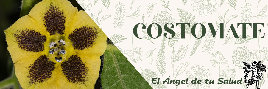 Es útil para tratar infecciones estomacales y empacho. También se emplea para quitar espinillas.