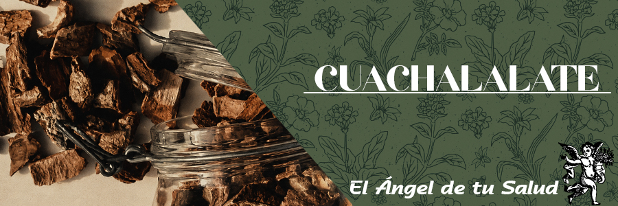 Se recomienda tradicionalmente el uso de la Corteza de Cuachalalate contra la fiebre tifoidea, el paludismo, las fiebres intermitentes, la calentura y la gangrena.