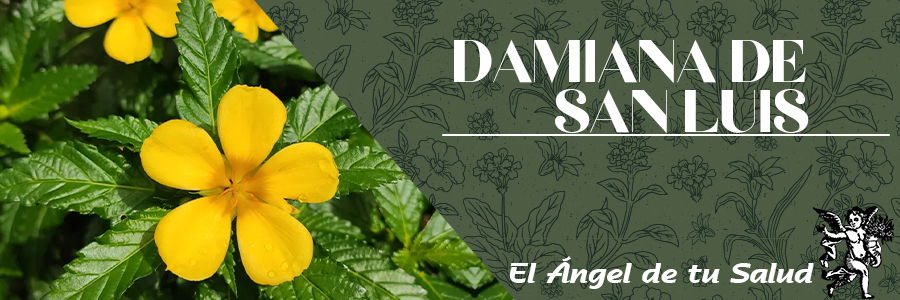 Se ha utilizado la Damiana de San Luis para aliviar la ansiedad, nerviosismo y depresión leve, especialmente si estos síntomas tienen un componente sexual, también se utiliza, como un tónico general para mejorar el bienestar.