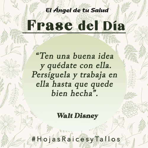 “Ten una buena idea y quédate con ella. Persíguela y trabaja en ella hasta que quede bien hecha” - Walt Disney