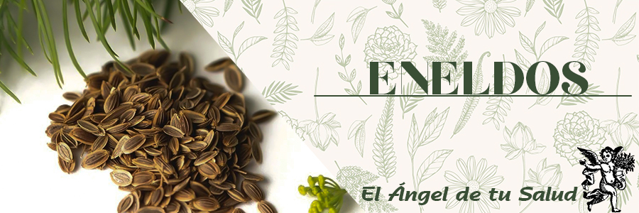 El eneldo funciona como un importante vasodilatador, ayudando a restablecer el flujo sanguíneo y favoreciendo el sistema cardiovascular.