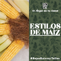 Tiene propiedades medicinales que estimulan la evacuación de la bilis y el funcionamiento del hígado, por lo que se usa para problemas de digestión, antes y después de las comidas.