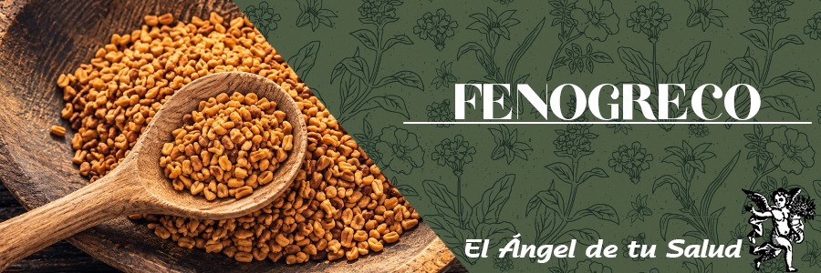 Planta herbácea anual, erecta, de 20-60 cm de altura, con tallo simple y poco ramificado. Las hojas son trifoliadas y con un peciolo largo; los foliolos son articulados, aovados u oblongos, atenuados en la base, en forma de ala y ligeramente denticulados.