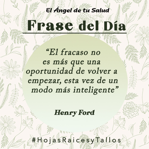 “El fracaso no es más que una oportunidad de volver a empezar, esta vez de un modo más inteligente” - Henry Ford