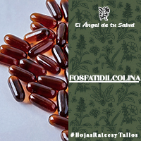 La Fosfatidicolina es más comúnmente usada para tratar los trastornos hepáticos, tratamiento de la colitis ulcerosa y los altos niveles en la sangre de colesterol y triglicéridos inducidos por medicamentos. 