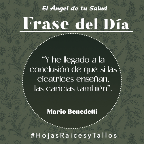 “Y he llegado a la conclusión de que si las cicatrices enseñan, las caricias también” - Mario Benedetti