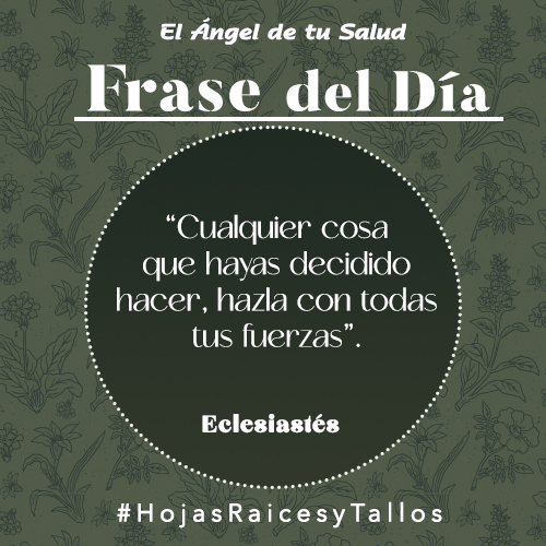 “Cualquier cosa que hayas decidido hacer, hazla con todas tus fuerzas” - Eclesiastés