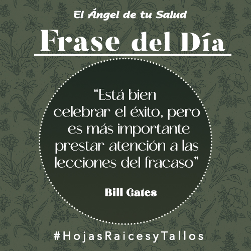 “Está bien celebrar el éxito, pero es más importante prestar atención a las lecciones del fracaso” - Bill Gates