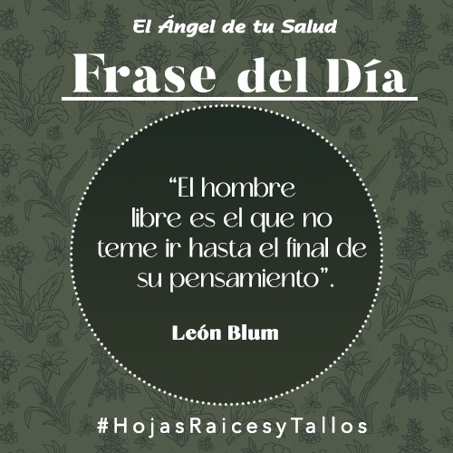 “El hombre libre es el que no teme ir hasta el final de su pensamiento” - León Blum