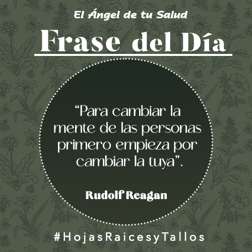 “Para cambiar la mente de las personas primero empieza por cambiar la tuya” - Rudolf Reagan