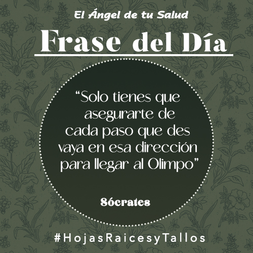 “Solo tienes que asegurarte de cada paso que des vaya en esa dirección para llegar al Olimpo” - Sócrates