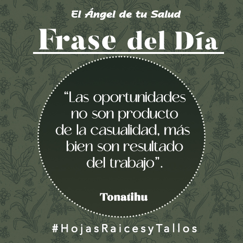 “Las oportunidades no son producto de la casualidad, más bien son resultado del trabajo” - Tonatiuh