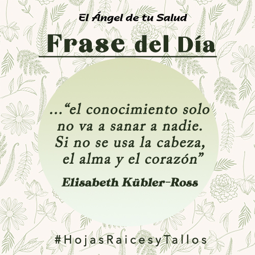 ...“el conocimiento solo no va a sanar a nadie. Si no se usa la cabeza, el alma y el corazón - Elisabeth Kübler-Ross