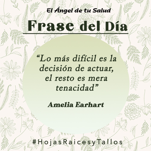 “Lo más difícil es la decisión de actuar, el resto es mera tenacidad” Amelia Earhart