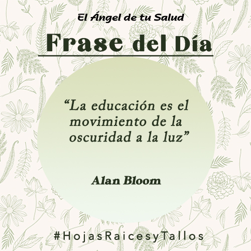 “La educación es el movimiento de la oscuridad a la luz” - Alan Bloom