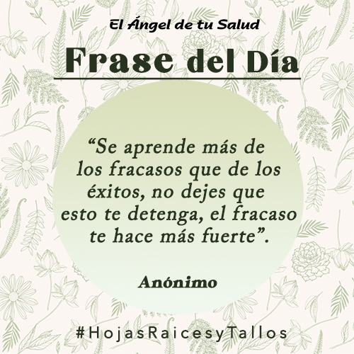 “Se aprende más de los fracasos que de los éxitos, no dejes que esto te detenga, el fracaso te hace más fuerte” - Anónimo