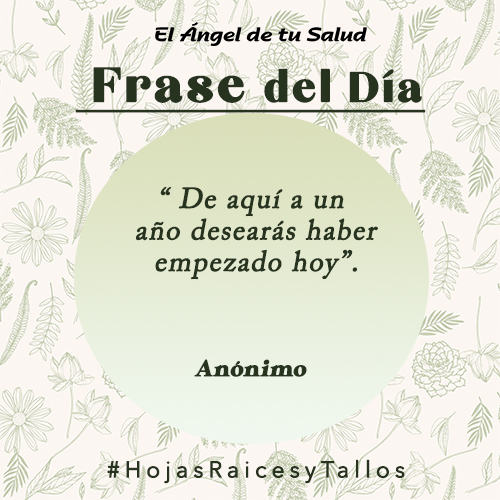 “ De aquí a un año desearás haber empezado hoy” - Anónimo