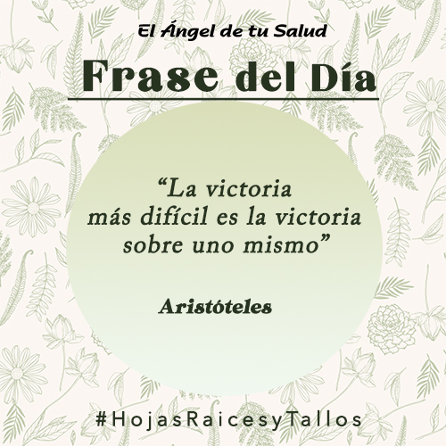  “La victoria más difícil es la victoria sobre uno mismo” - Aristóteles.