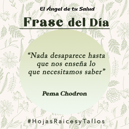 “Nada desaparece hasta que nos enseña lo que necesitamos saber” - Pema Chodron