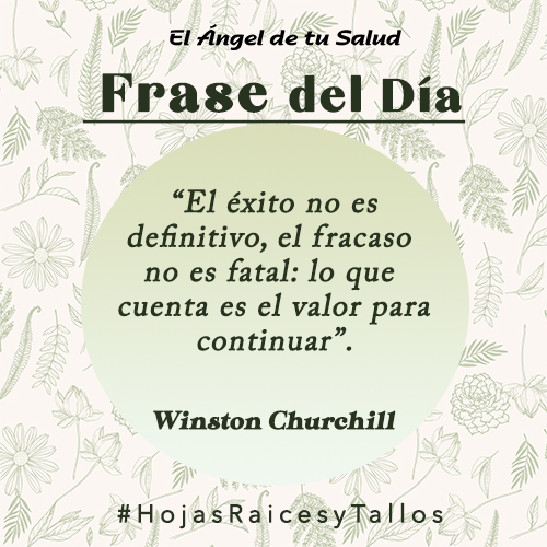 “El éxito no es definitivo, el fracaso no es fatal: lo que cuenta es el valor para continuar” - Winston Churchill