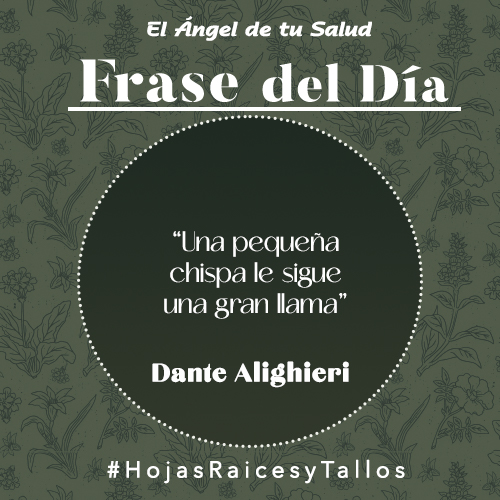 “Una pequeña chispa le sigue una gran llama” - Dante Alighieri