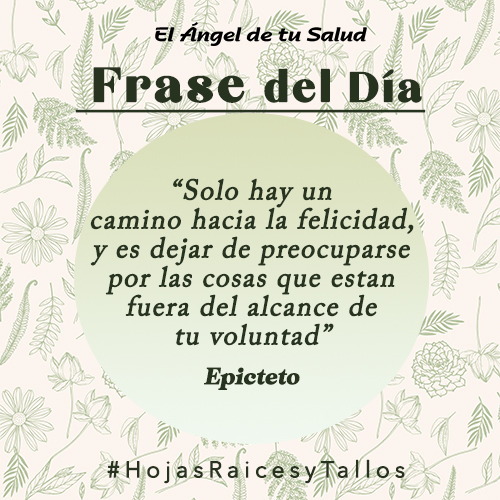 “Solo hay un camino hacia la felicidad, y es dejar de preocuparse por las cosas que están fuera del alcance de tu voluntad” - Epicteto 