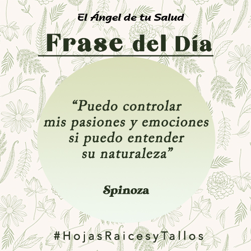 “Puedo controlar mis pasiones y emociones si puedo entender su naturaleza” - Spinoza