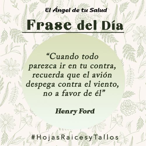 “Cuando todo parezca ir en tu contra, recuerda que el avión despega contra el viento, no a favor de él” - Henry Ford