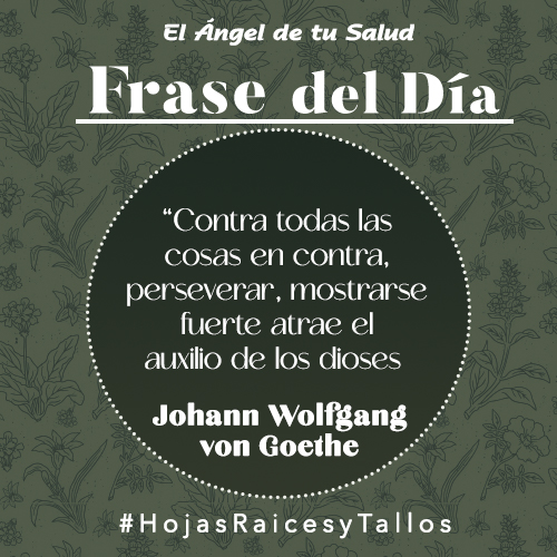 “Contra todas las cosas en contra, perseverar, mostrarse fuerte atrae el auxilio de los dioses