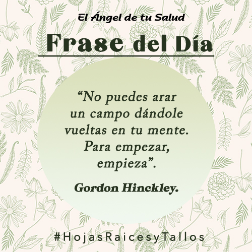 “No puedes arar un campo dándole vueltas en tu mente. Para empezar, empieza”. - Gordon B. Hinckley. 