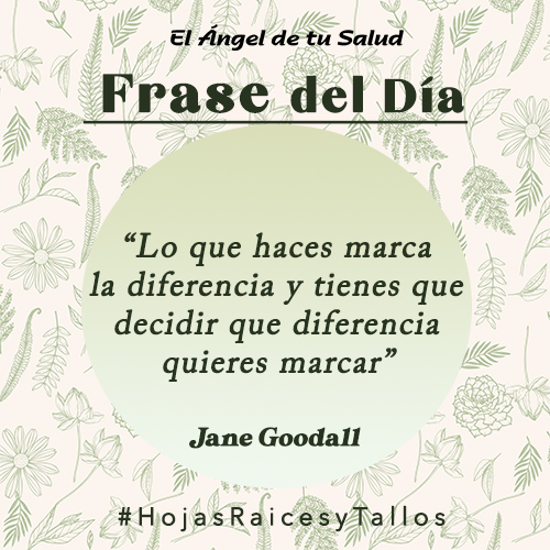“Lo que haces marca la diferencia y tienes que decidir que diferencia quieres marcar