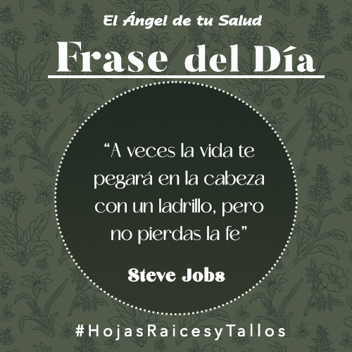 “A veces la vida te pegará en la cabeza con un ladrillo, pero no pierdas la fe” - Steve Jobs